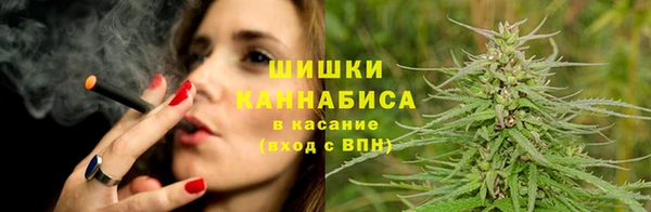 метадон Богданович
