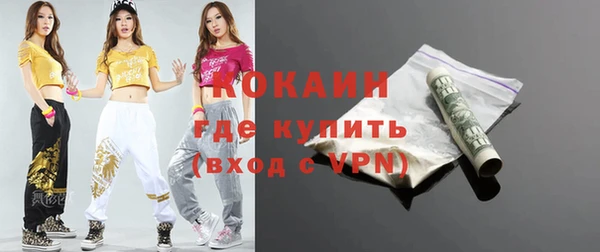 твердый Богородск