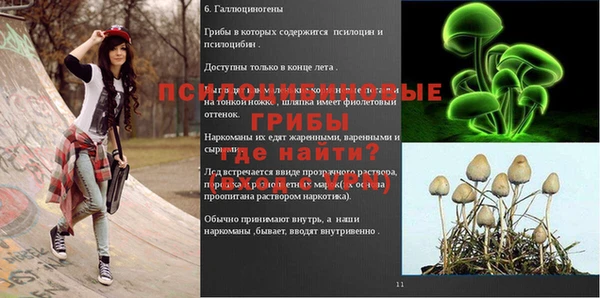 герыч Богородицк