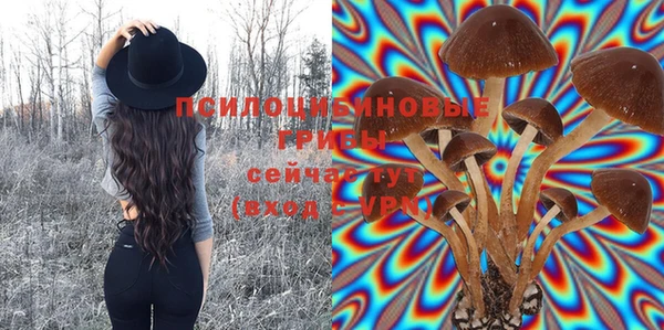 герыч Богородицк