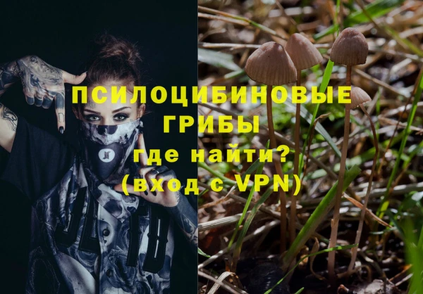 твердый Богородск