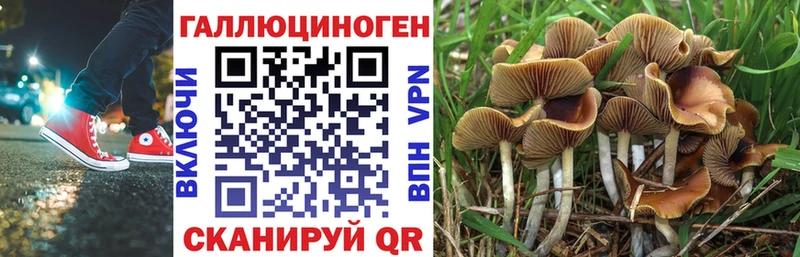 Галлюциногенные грибы мухоморы  Купить  Мирный 